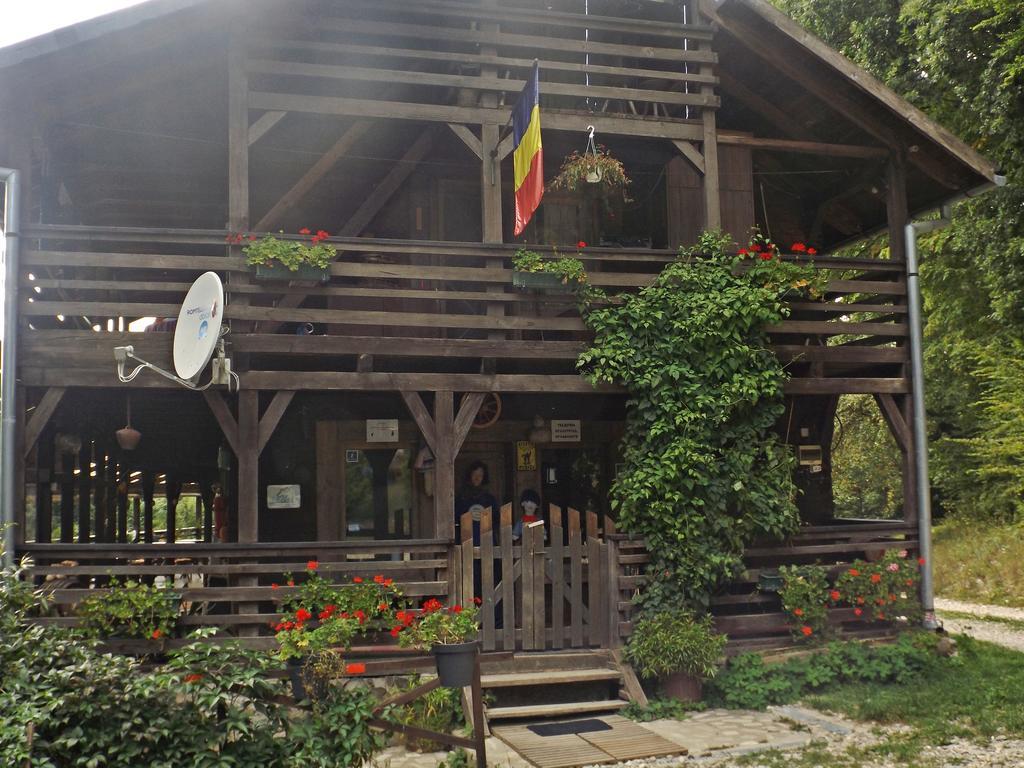 Отель Cabana La Noi Рышнов Экстерьер фото