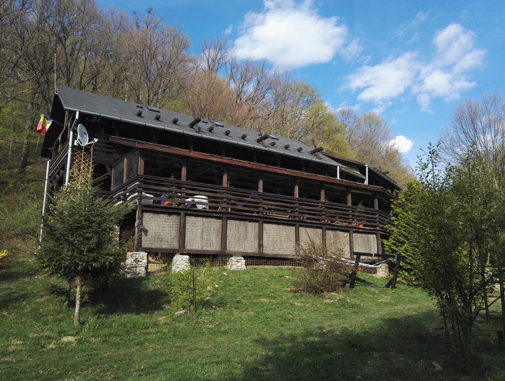 Отель Cabana La Noi Рышнов Экстерьер фото