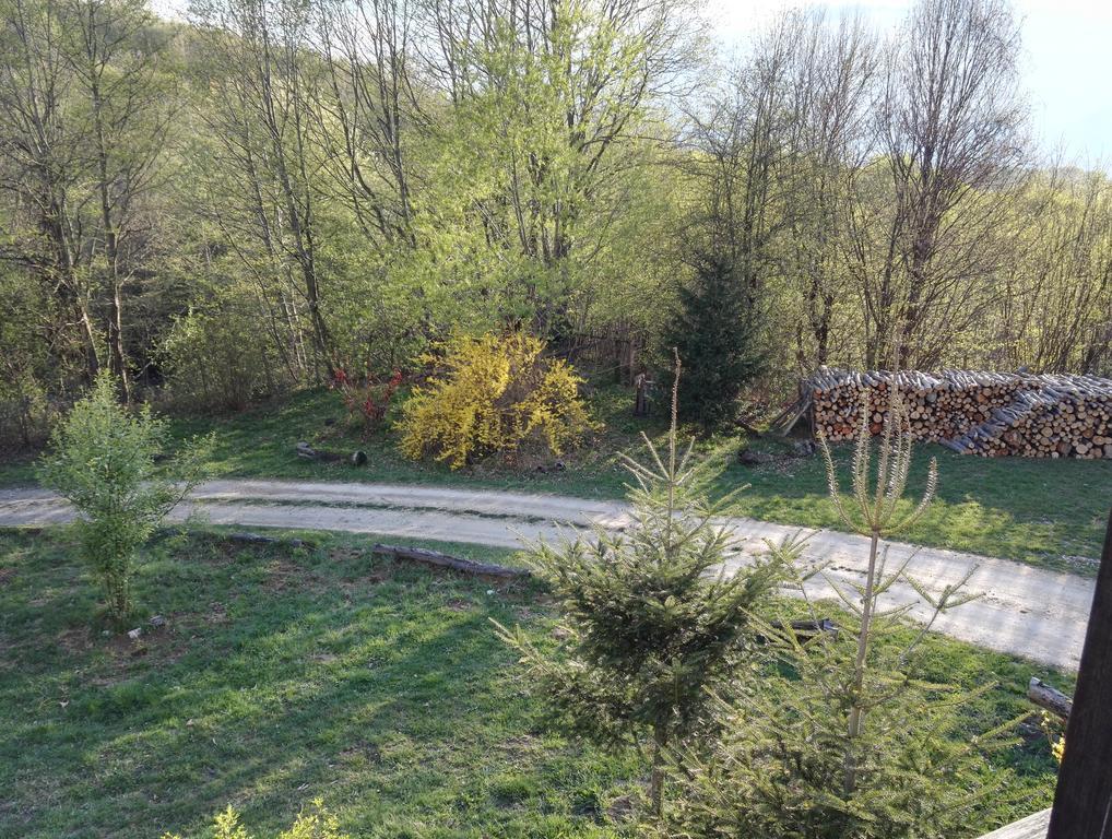 Отель Cabana La Noi Рышнов Экстерьер фото