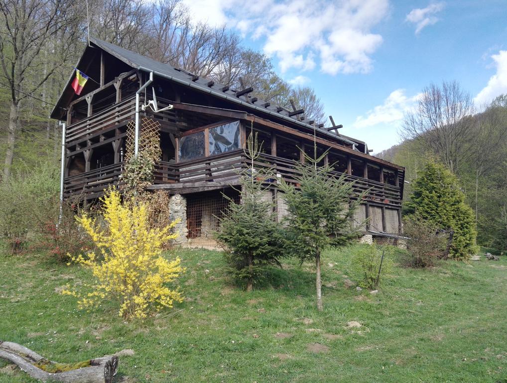 Отель Cabana La Noi Рышнов Экстерьер фото